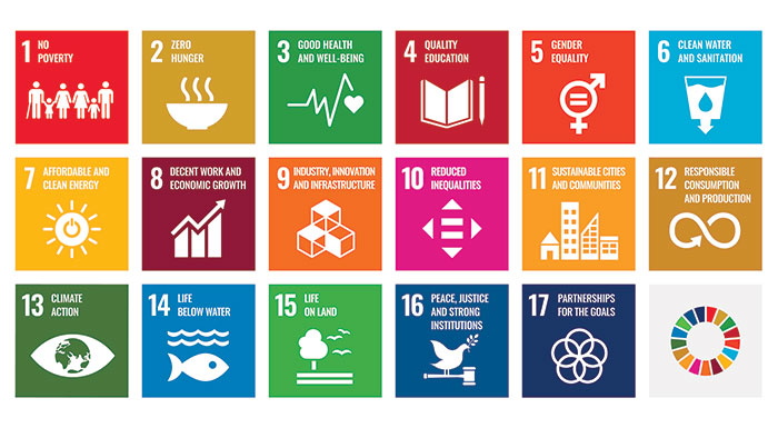 sdg_icons_700